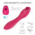 2 motors heating wand vibrator